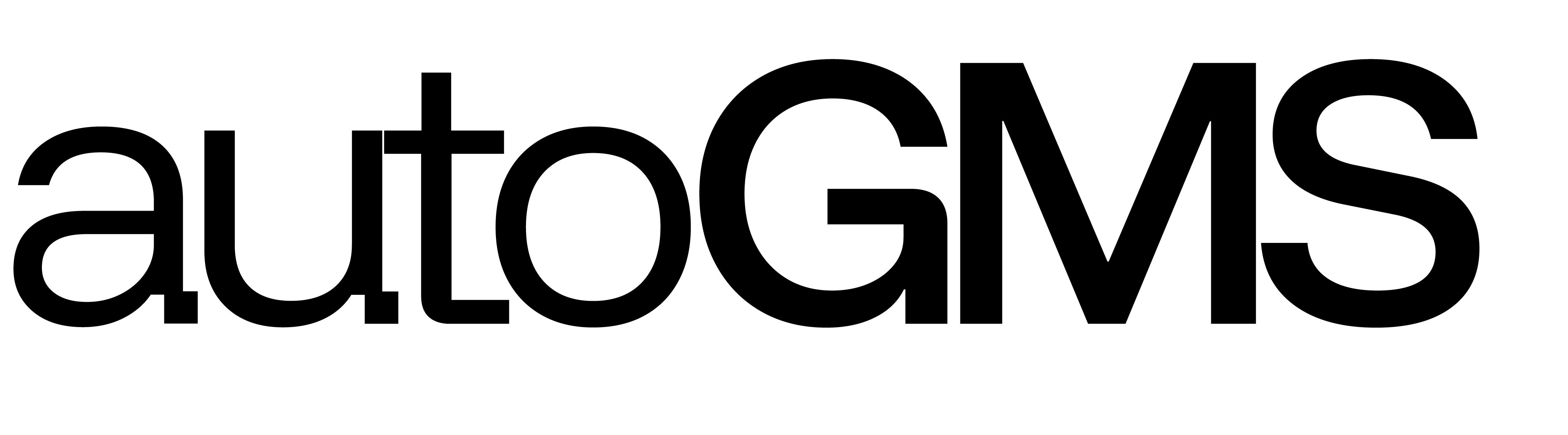 autoGMS
